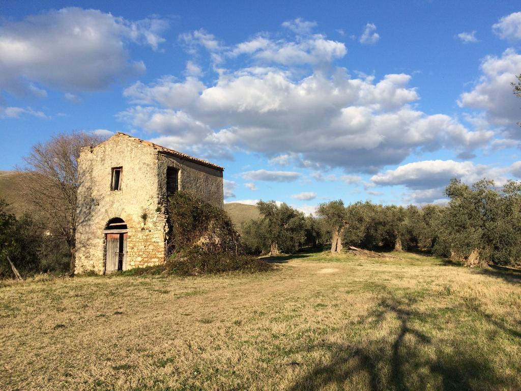 Villa La Tartaruga Sabina Palombara Sabina 외부 사진